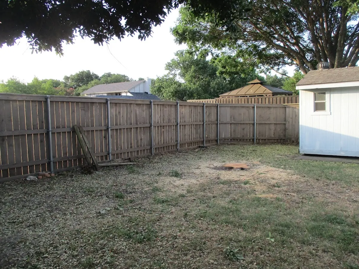 Cleared yard after professional tree removal in Fort Washington