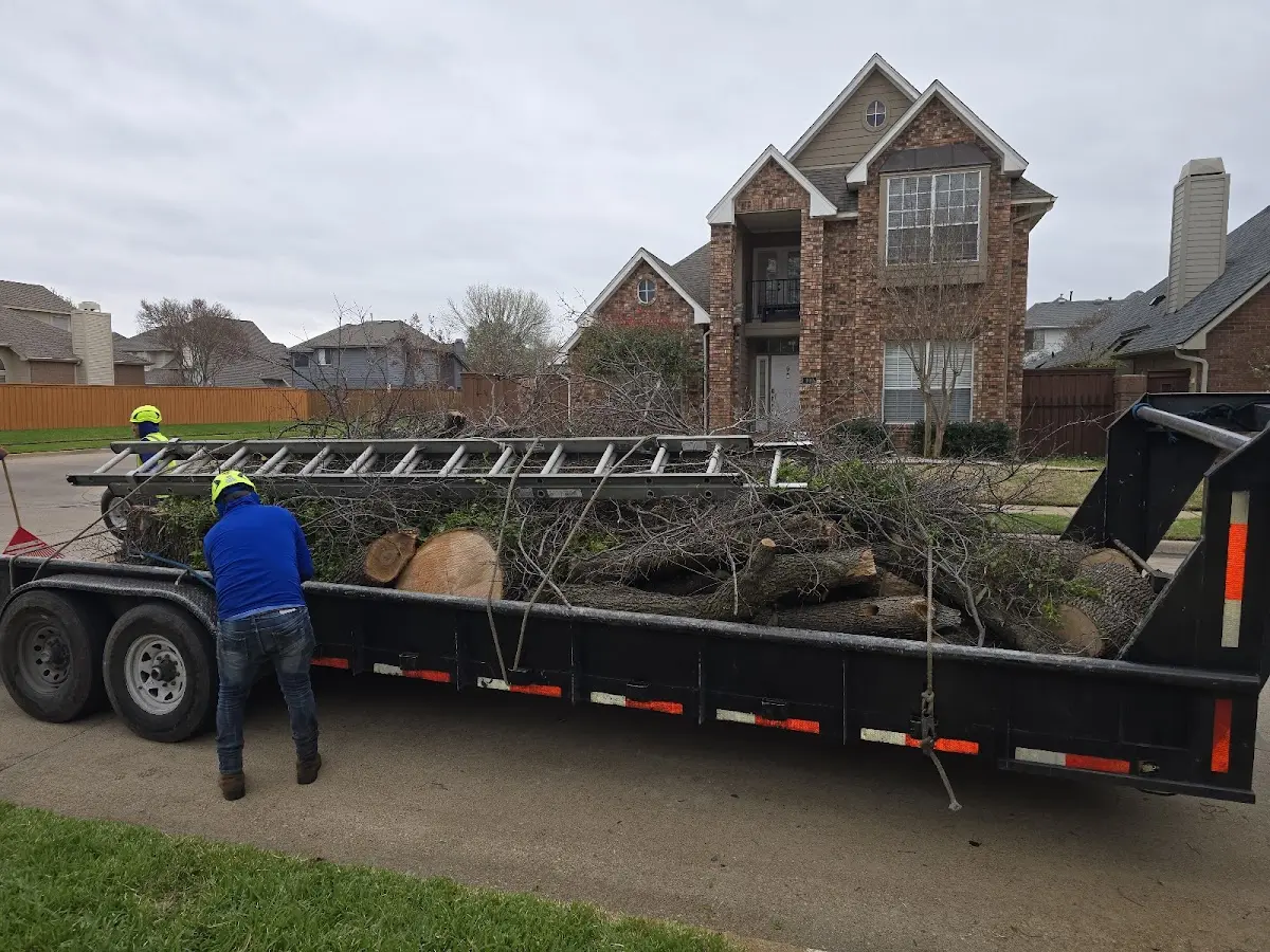 Expert Lot Clearing with proper safety equipment in Fort Washington